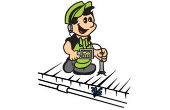 Bonsai Dedetizadora e Desentupidora - Foto 1