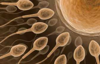 Centro de Convivência e Cooperativa Campo Limpo - Foto 1