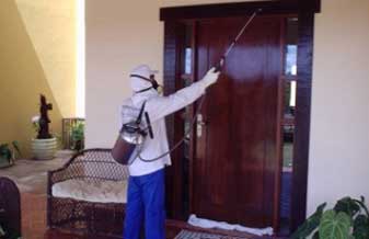 Brasil Hans Dedetizadora e Desentupidora - Foto 1