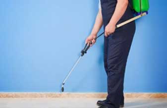 Detroit Dedetizadora Desentupidora - Foto 1