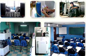 Bit Company - Foto 1