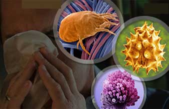 Argentum Serviços Médicos - Foto 1