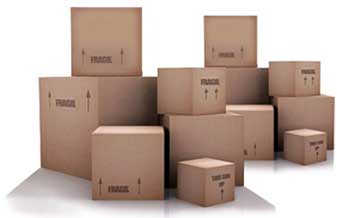 Tlt Transporte E Locação Teixeira - Foto 1