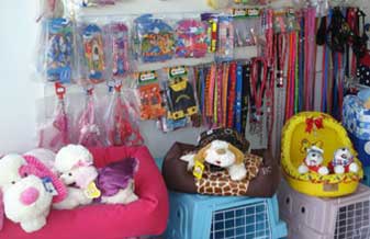 Xodó Animais - Foto 1
