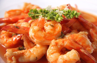 Skina Do Peixe - Foto 1