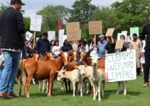 Insanos se reúnem em Campo Limpo em defesa dos animais