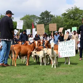 Insanos se reúnem em Campo Limpo em defesa dos animais