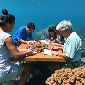 Corais Oficinas Culturais