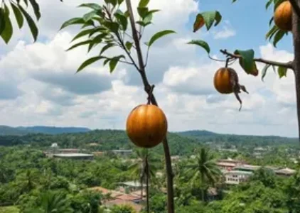 Últimas Notícias de Campo Limpo