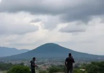 articulação regional