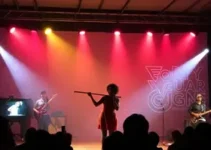Virada Cultural