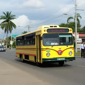 Campo Limpo para Vila Sônia de transporte público