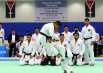 Torneio Sekai de Judô