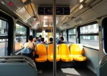 linhas de ônibus