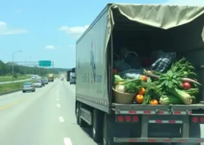 Últimas Notícias de Campo Limpo