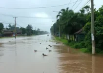 Campo Limpo Paulista emergência