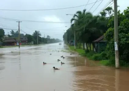 Últimas Notícias de Campo Limpo
