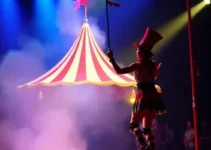 Charivari Circo