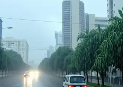 Últimas Notícias de Campo Limpo