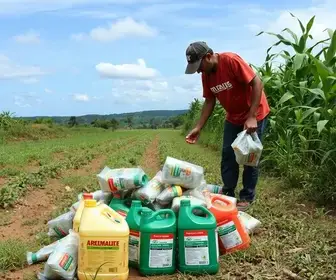 Operação Campo Limpo