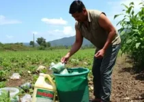 coleta de embalagens de agrotóxicos