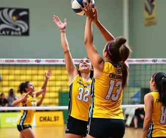 vôlei